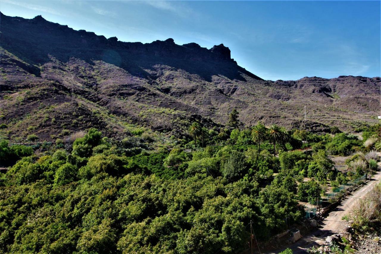 Open Sky Valley Mogán Exterior foto
